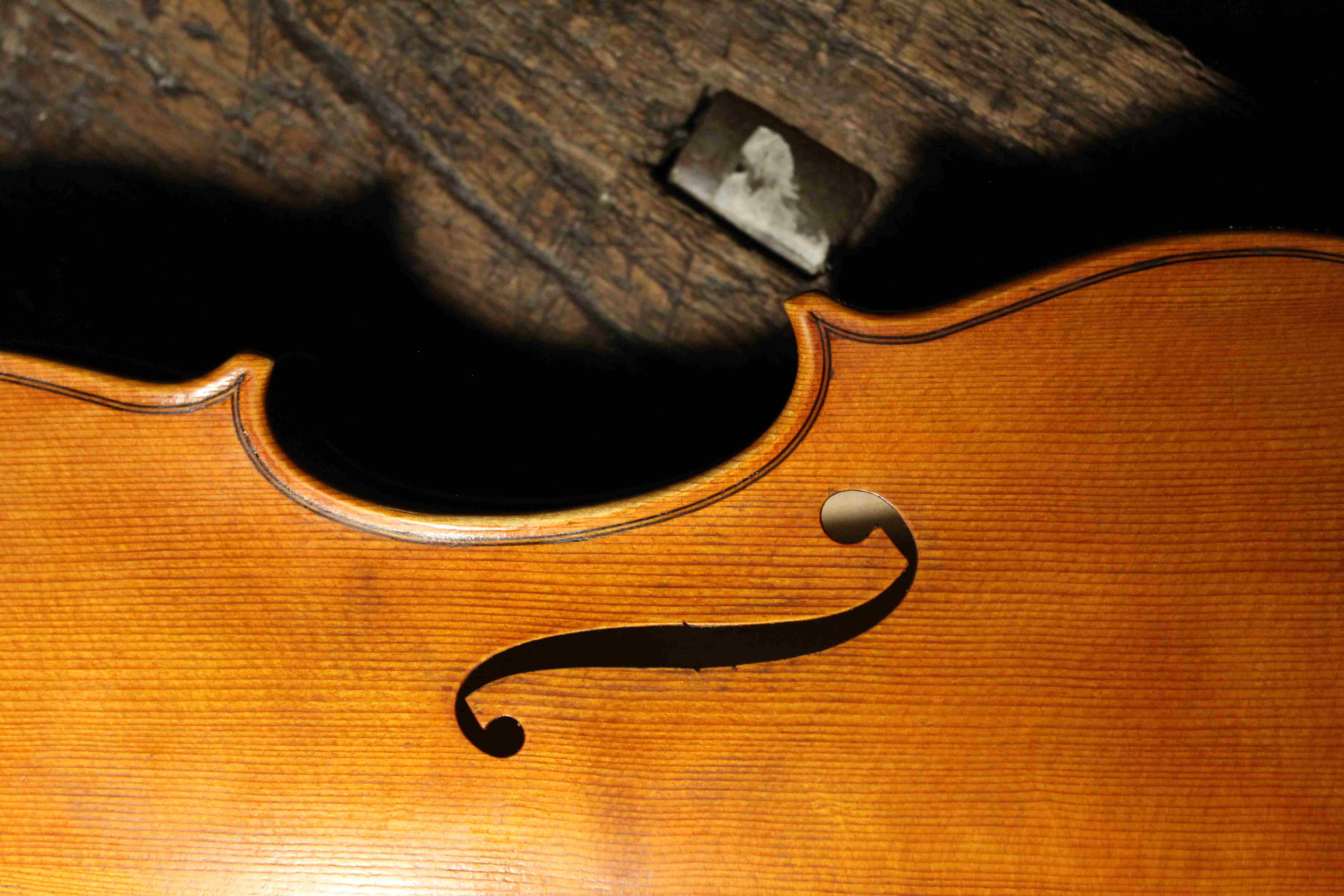 Violino modello Guarneri
