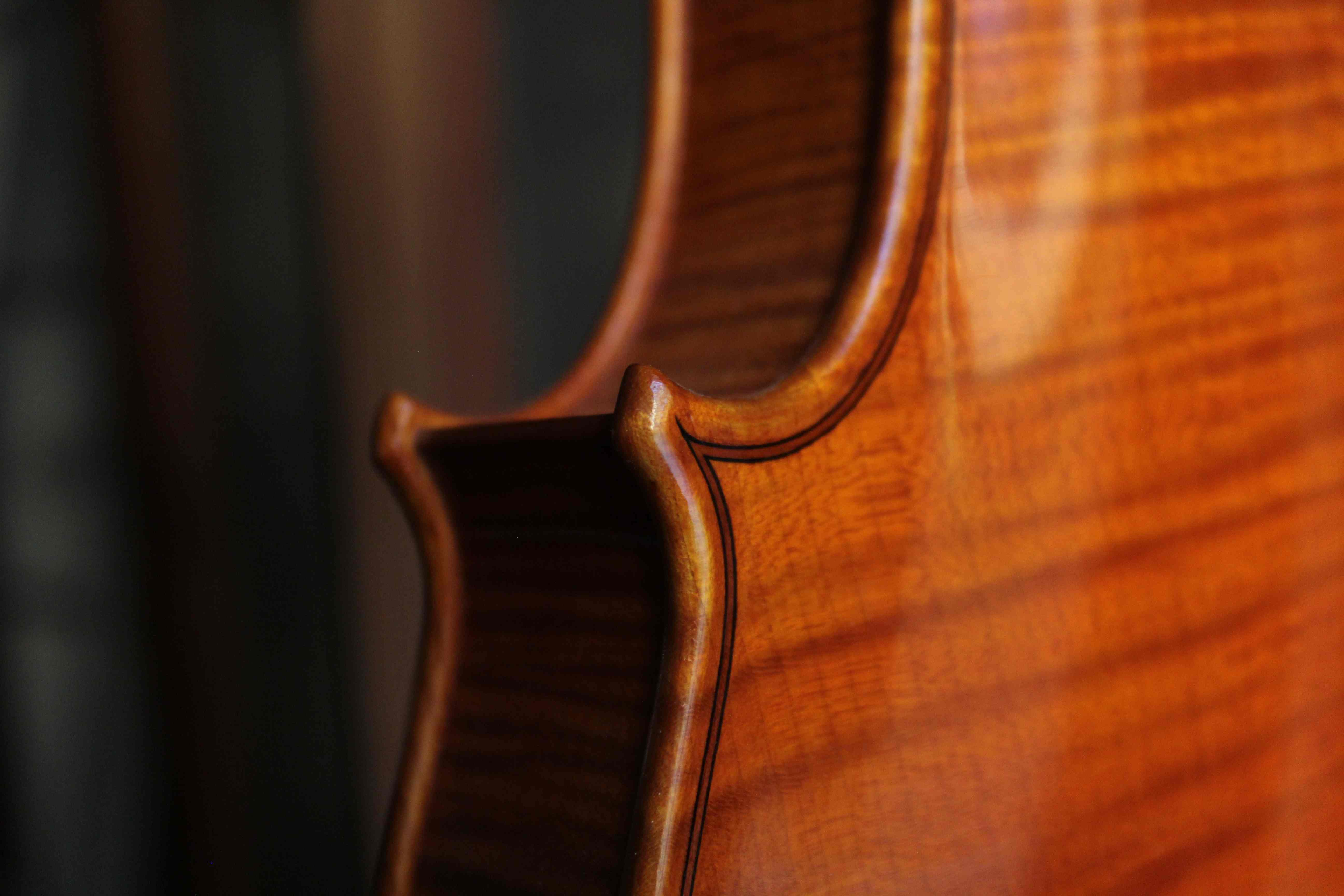 Violino Vaia